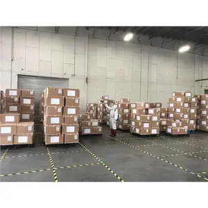 蓬江区进口报关消毒公司电话 儒创有害生物防控公司