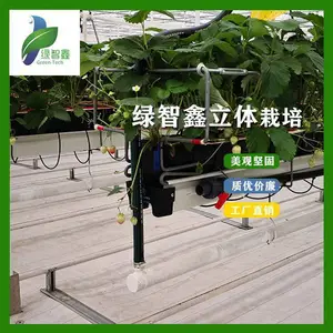 无土立体栽培设备 蔬菜花卉培育水肥一体化