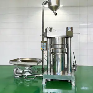 小型核桃油坊加工设备 全套苏籽榨油精炼设备 低温冷榨工艺 出油高