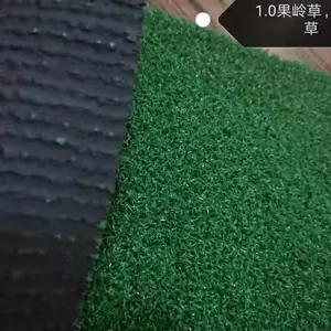 供应毕节黔西仿真草坪草皮