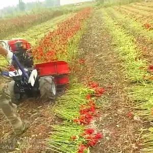 С��ũ����ո��ո��ˮ���ո������