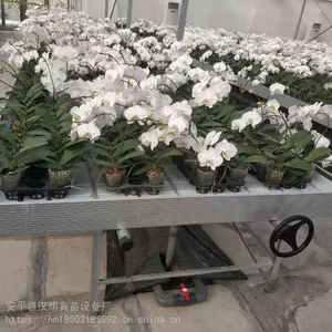 广州潮汐式苗床灌溉工作原理汉明苗床源头厂家