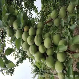 ����Ե ����÷�Ӽ۸� ��÷ ���ۼ۸�