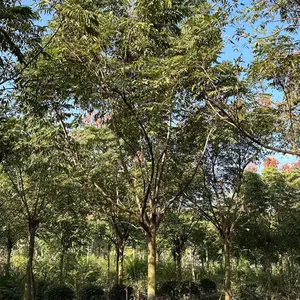 ���������� �� ����18-22�������� ҡǮ����������