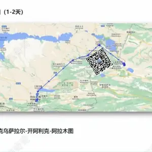 四川攀枝花到越南河内国际物流运输 成都到老挝万象集装箱运输