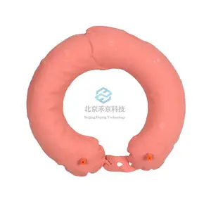 ˮ���Ԯ87ʽ����Ȧ������������Ȧ����ӾȦ˫����ѵ������Ȧ