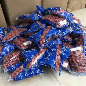 施迈斯 20RB15MS0 标准胶球 德国原装凝汽器清洗海绵球