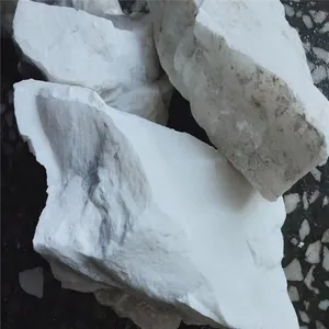 厂家批发 按需 环辊磨微细目白云石粉微细目现货高纯度