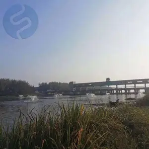 SFT-LJ250太阳能喷泉曝气机 河道治理曝气机