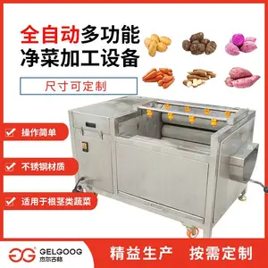 海西水果蔬菜清洗机器设备 土豆去皮机 清洗干净
