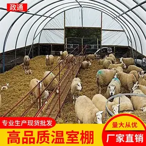 百香果连体棚常德临澧折弯镀锌大棚管