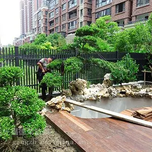 苏州景观绿化工程 别墅花园绿化施工 苏州别墅绿化苗木批发