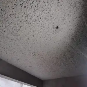 �޻���ά��Ϳ�� �ư�KTV�������������½��������ά����
