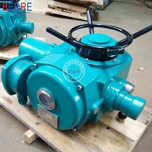 ���ݱ���DZW15-24/WK1�綯ִ����