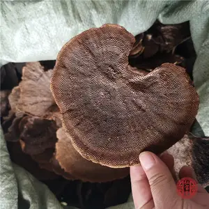 �����ٵ�ҩ�ü�ֵ ���ǽ�С����������ì����