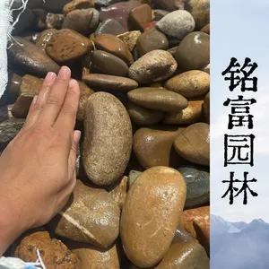 电力变电站5-8公分鹅卵石 吨包包装鹅卵石 地基垫层卵石批发