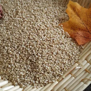 �绯��֥���������� �绯��֥�鹩���� ��֥�鳧��