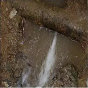 רҵ��Ӧ��������ܵ���©��©������