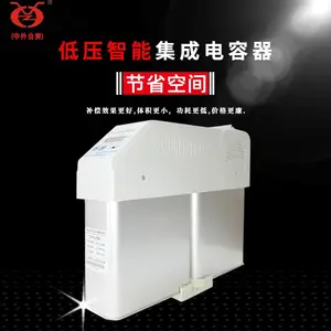 一体式智能电容 HZC/250-30分相补偿,智能补偿