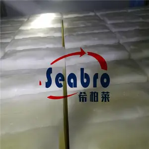 日产量20T-50KG-24H直冷块冰机 水产盐水块冰机 片冰机 管冰机 冷水机