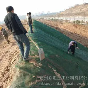 边坡客土挂网植被网 喷播种草护坡三维网 国标规格植草三维植被网