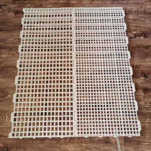 鸡塑料地板 家禽用养殖漏粪板 建伟塑业禽用漏粪板 抗氧化