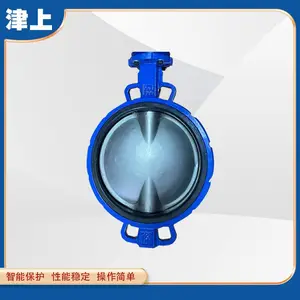 �����ж���ĥ�������ڿ����� ���ϲ��ɵ� D971X-16P DN150 DN200