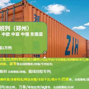 华沙 进口 铁路 整柜 郑欧/中欧班列 可欧洲全境提货