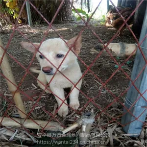 ������ְ��� ��ֳ������ ũҵ��ֳ�ְ���
