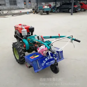 �ַ�ʽ��԰����ʩ�ʻ� �����ַ�ʽ���������� �ַ���ػ��¿�������