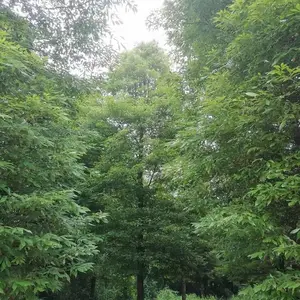ϸҶ������� �����ϵ���� ��������� СҶ��骲��س���
