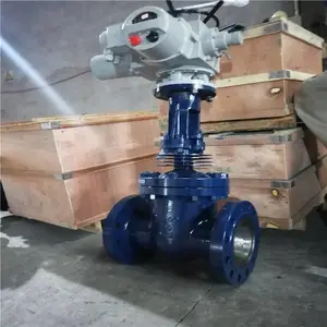 �����㽭���Ӹ�������բ�� Z61Y-10I Z561Y-10I �����Ш�κ���բ�� DN100