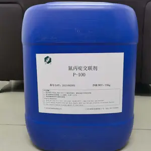 ����ऽ�����P-100