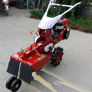 ������ˮ���������� 10������Ǿ������� �ٺ���ֲ������