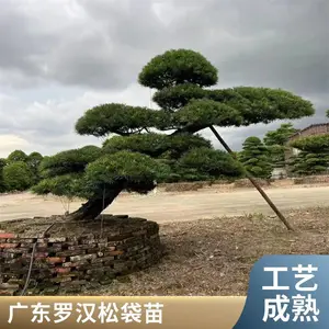 �ڷ�3-3.5�������޺��� ԰�־����̻������� �����޺���������