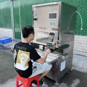 塑胶玩具公仔喷漆设备 不锈钢结构自动喷油机 喷射宽度 35cm
