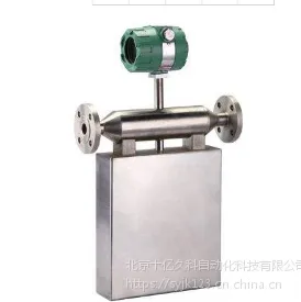 SK-CMF1DKY5质量流量计