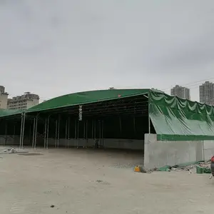 �ɶ����Ҷ��ƴ��ŵ��������� �ʽ�綯����