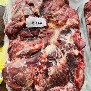 卓力丰【蒙古国079】五分体袋装马前腿 加工厂餐饮卤肉店可用