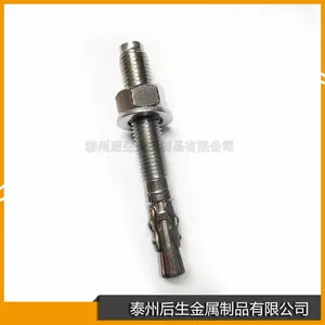 不锈钢304 车修壁虎M16*120 出口膨胀螺丝 拉爆