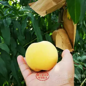 ��Ʒ�������磺���������硢���������綨������