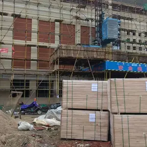 河南安阳体育馆篮球木地板,胜枫厂家销售安装