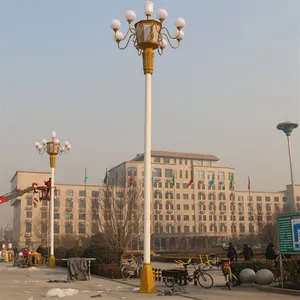 芯鹏达LED中华玉兰组合灯广场桥梁道路夜景照明XPD-ZH01