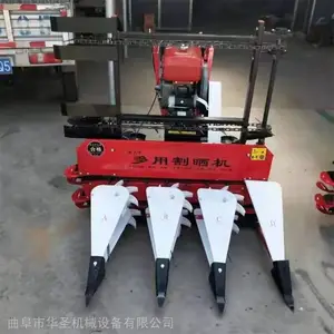 ��ĸ����Ҷ���ո�� �ߵͽո�ͨ���͸�ɹ�� �����̨
