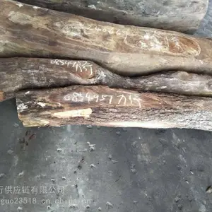 ���ݽ���������̴���ع�˾ح���ڱ�������ح������ز���