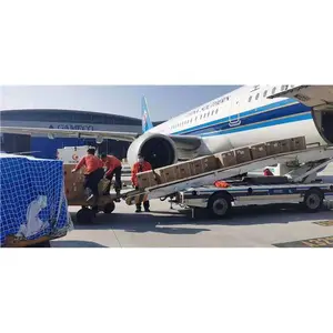 �������� ���������� ��������ˮ����������