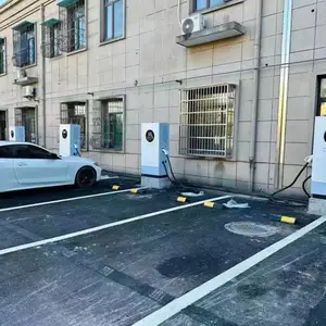 ˫ǹ�뷢����ţ120KW���׮��Ӫ��׬Ǯ