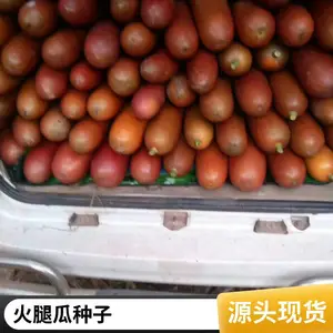 ������ ���ȹ��������� ��ֲ����ֱ��