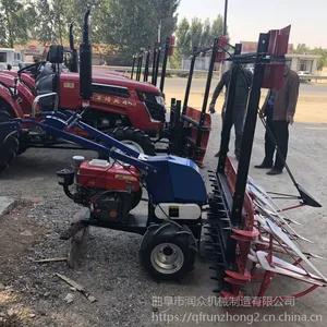 ũ����ݻ� ����ʽ��ɹ�� ��Ҷ�ո�� ����