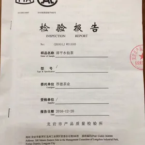 梧溪村 漳平水仙茶 浓香型漳平水仙 水仙公主 水仙王子 正南 南洋水仙茶 漳平特色